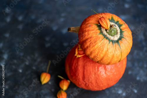 Halloween Pumpkins of bright orange color lie on a dark background, next to red berries. Soon, these beauties will be made into a festive setting and pumpkin soup. 