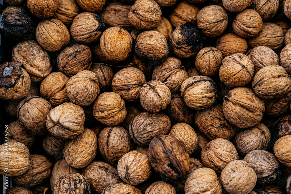 Lots of walnuts like as background Lots of walnuts like as background