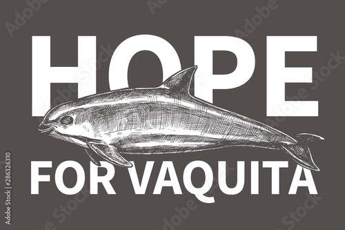 Typography design for International day save the vaquita. Poster with hand drawn sketch Gulf of California harbor porpoise and text hope for vaquita. Protection of wildlife and endangered species