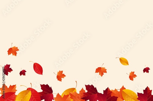 Autumn background with falling autumn leaves
