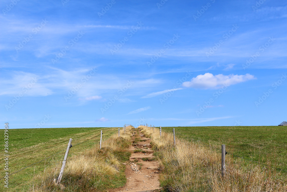 Blue sky over hiking trail trough pasture landscape (Vosges, France) Blue sky over hiking trail trough pasture landscape (Vosges, France)