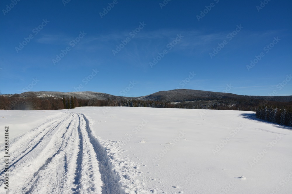 a road covered with snow among the trees