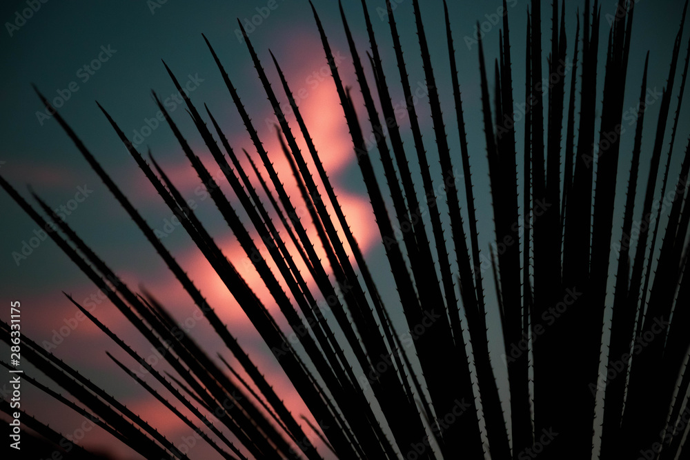 Obraz premium magiczny zmierzch