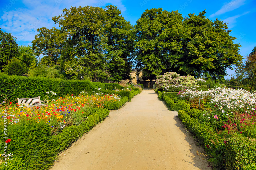 Summer garden path in the UK Summer garden path in the UK