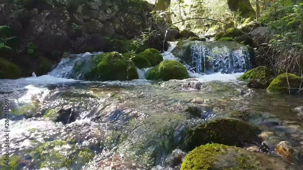 Forest stream flowing over mossy rocks. Waterfall in forest. Forest stream flowing over mossy rocks. Waterfall in forest.