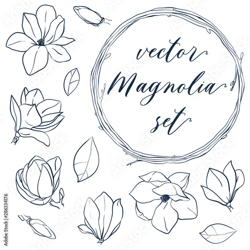 Set of isolated magnolia. Cute hand drawn vector elements in line art style. Magnolia flowers,leaves, buds and wreath.