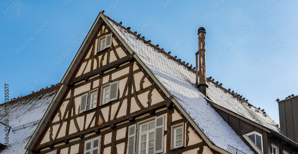 Obraz premium Backnang Haus am Rathaus Schnee und Vögel