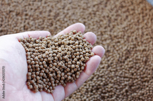 pelleted feeds fish on hand