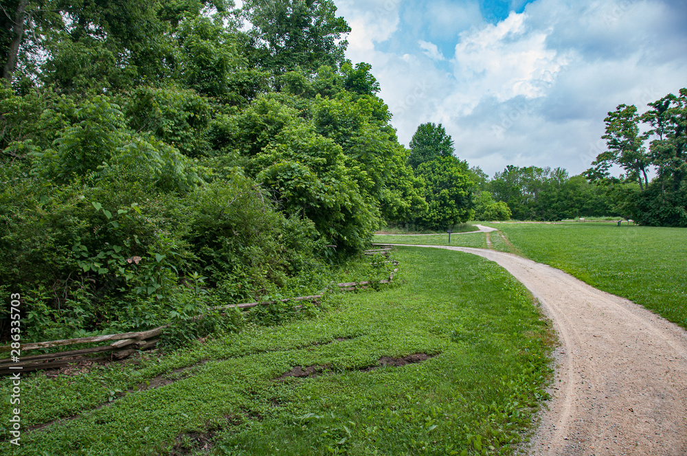 Summer path Summer path