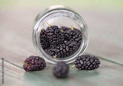 Delicious fresh mulberry in jar glass, healthy eating, antioxidant concept