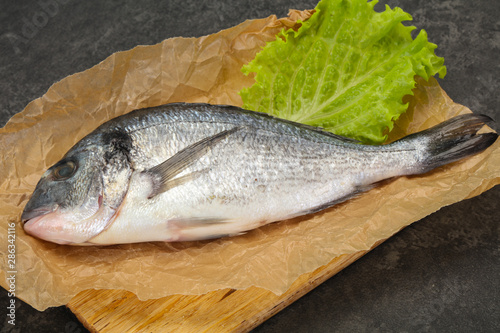 Raw Dorada fish for cooking
