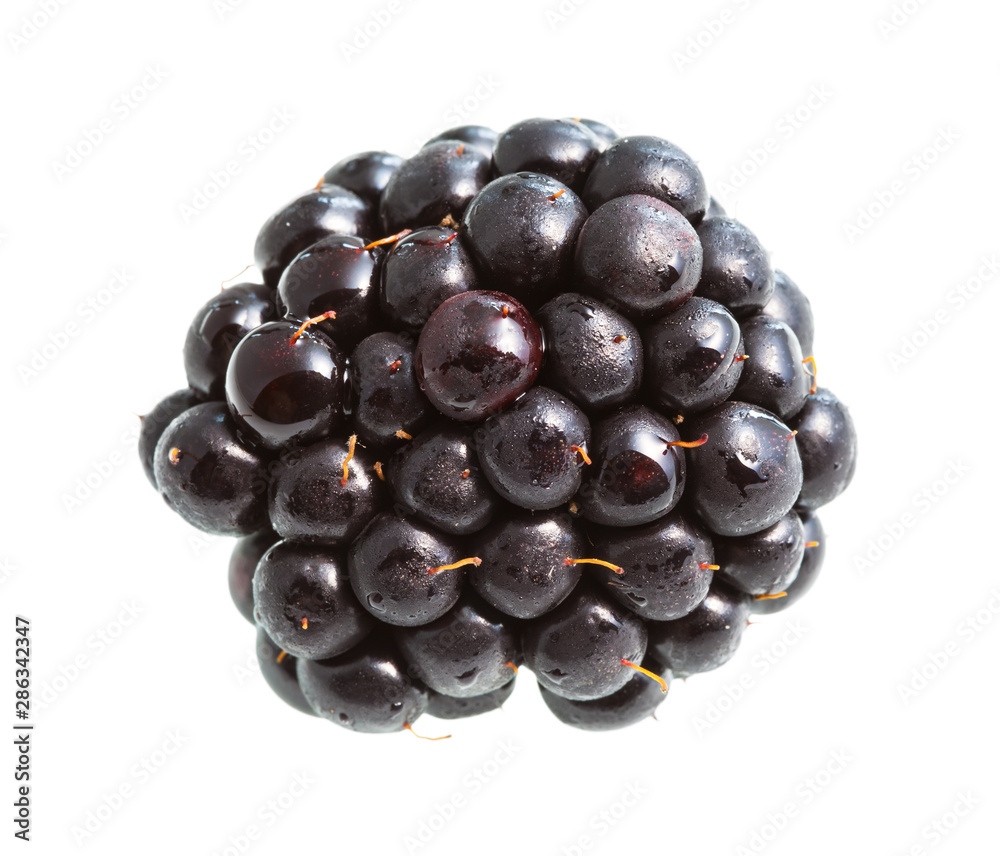 fresh blackberry isolated on white fresh blackberry isolated on white
