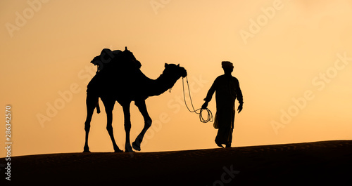 Rajasthan travel background - Indian cameleers  camel drivers  with camels silhouettes in dunes of Thar desert on sunset. Jaisalmer  Rajasthan  India 