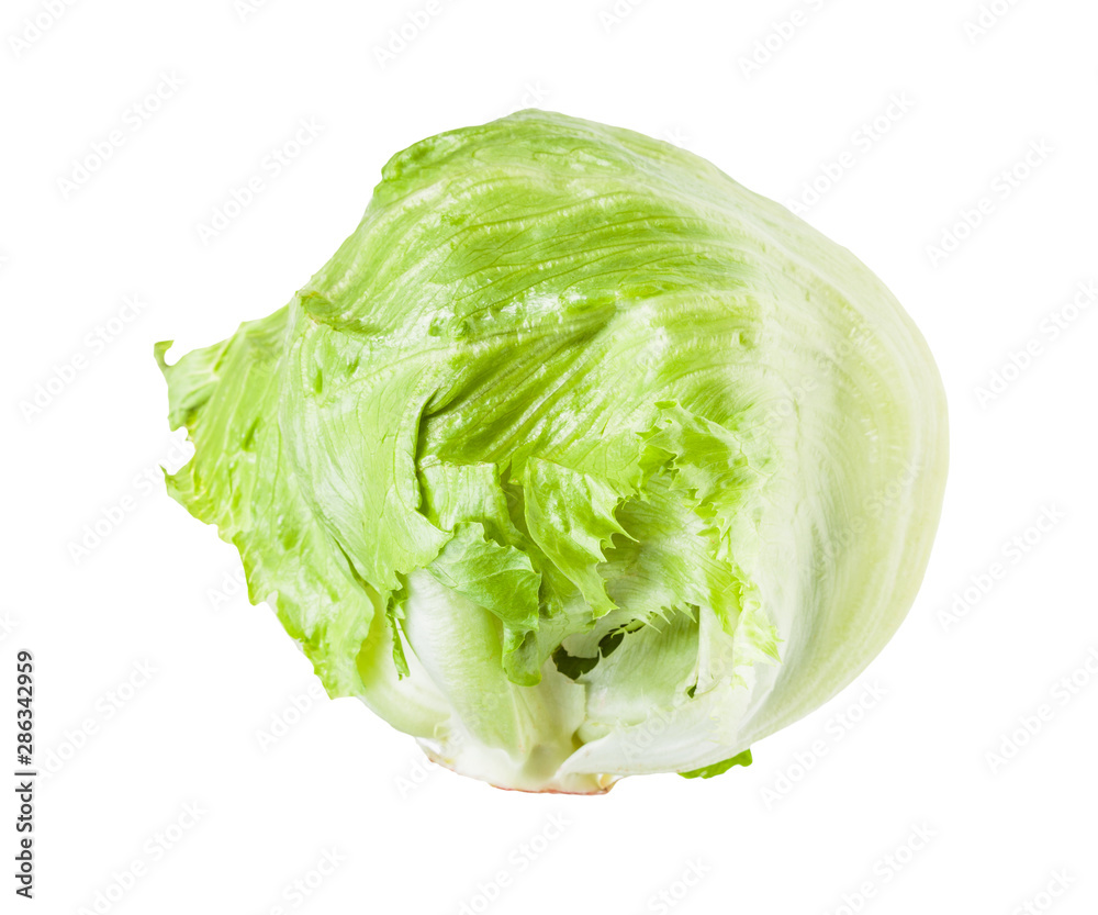 crisphead of iceberg lettuce isolated on white crisphead of iceberg lettuce isolated on white