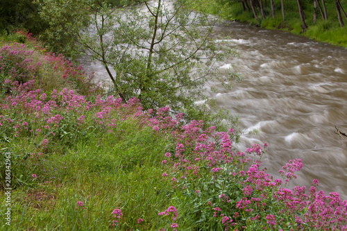 Rio segre en primavera