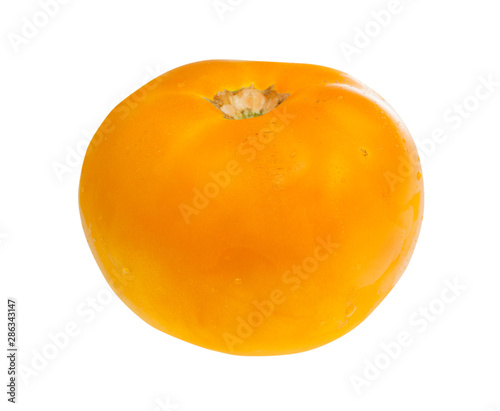 single organic yellow tomato isolated on white