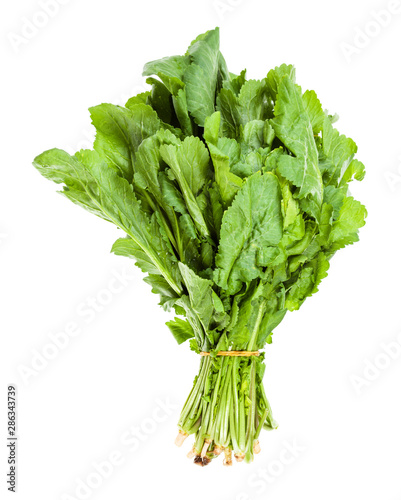 Foto bunch of fresh caucasian garden cress (tsitsmati)