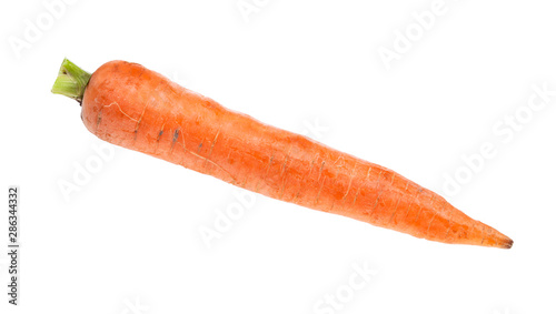 single fresh organic garden carrot isolated