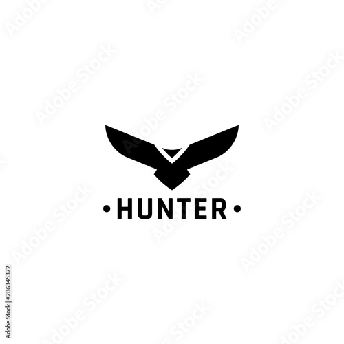 Eagle logo vector design, falcon logotype template, hawk illustration