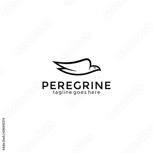 Eagle logo vector design, falcon logotype template, hawk illustration