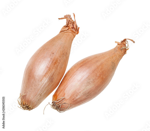 two bulbs of shallot onion isolated on white