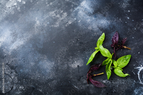 Branches of fresh green basil on a dark old table background. Flat lay.