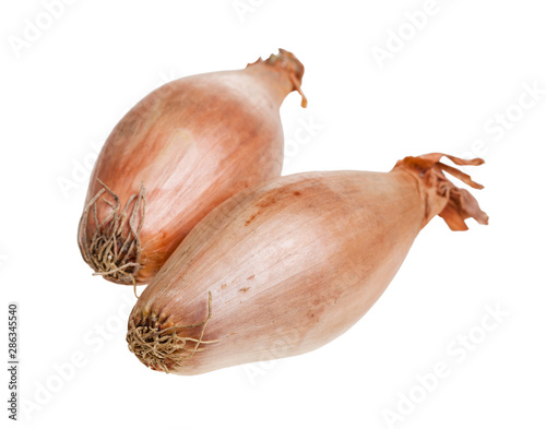 two bulbs of shallot onion close-up isolated