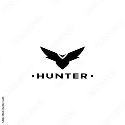 Eagle logo vector design, falcon logotype template, hawk illustration