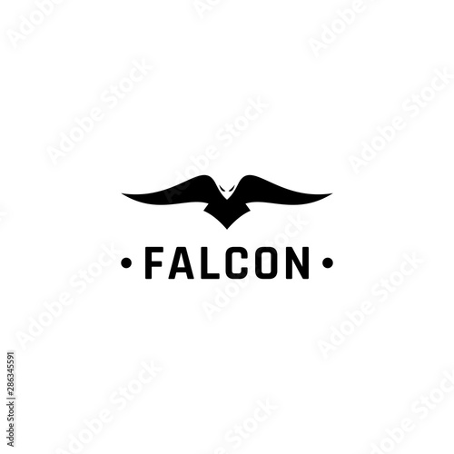Eagle logo vector design, falcon logotype template, hawk illustration