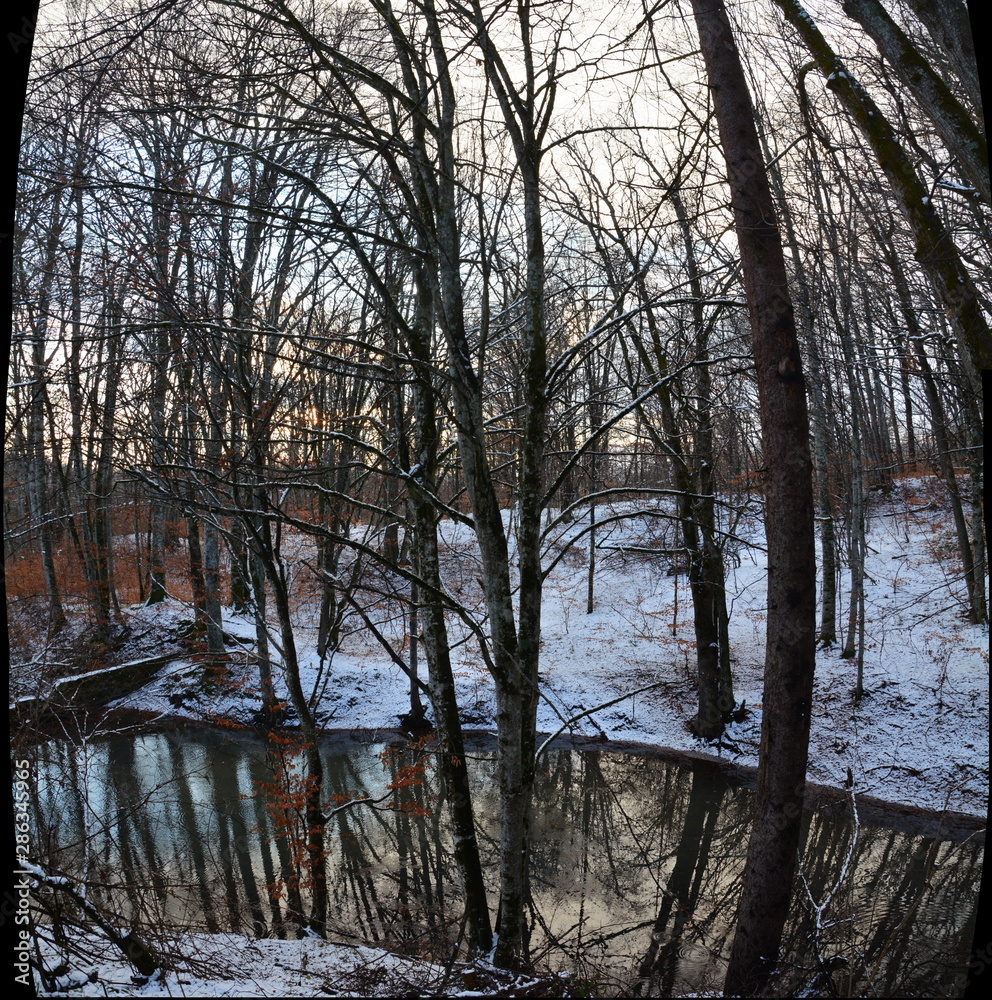 a creek in the woods in winter a creek in the woods in winter
