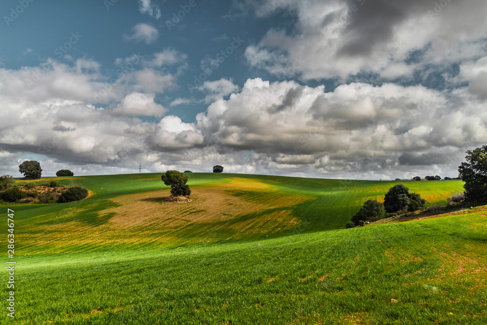 Naklejka premium Clouds in green spring landscape