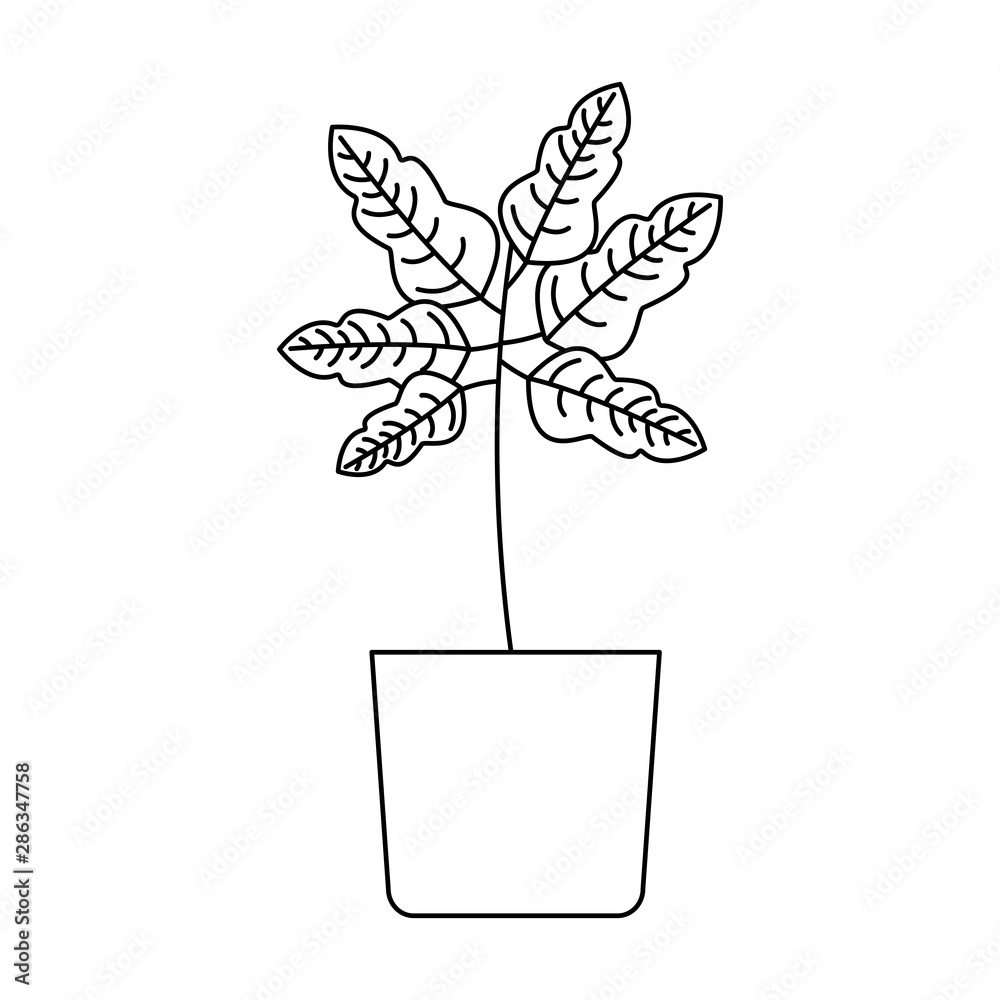 Isolated plant inside pot vector design Isolated plant inside pot vector design