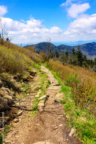 Hiking Path in the Smoky Mountains
