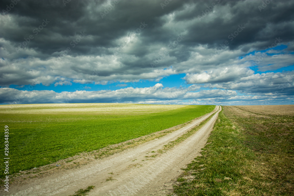 Fototapeta premium Long country road and rural fields, gray clouds on a sky