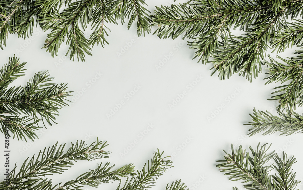 Fir tree branches on white background with copy space. Fir tree branches on white background with copy space.