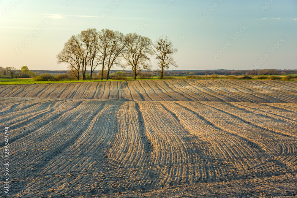 Plowed field and trees without leaves