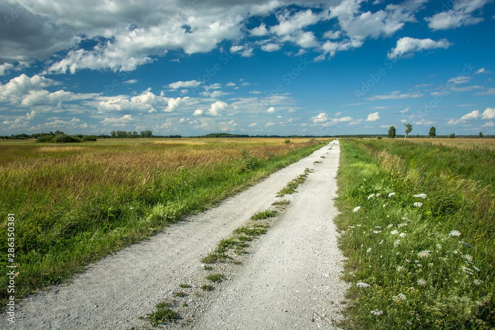 Gravel road and green meadow
