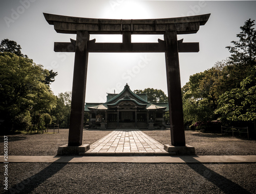Photography Torii gate in shito shrine