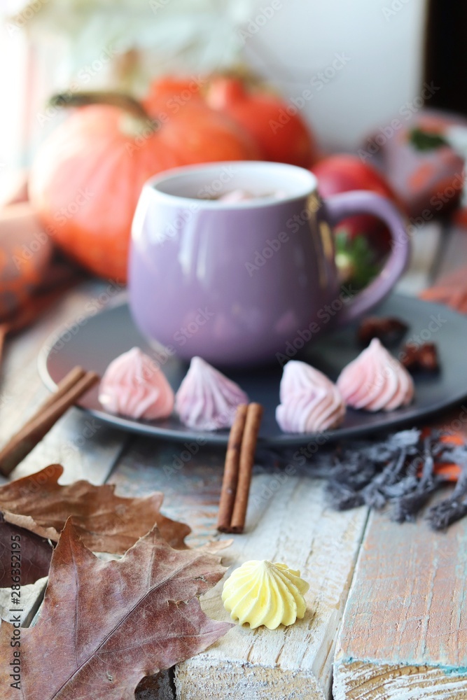 Cup of coffee, meringues, pumpkins, leaves, plaid on a window background, home comfort concept, Thanksgiving, autumn season Cup of coffee, meringues, pumpkins, leaves, plaid on a window background, home comfort concept, Thanksgiving, autumn season