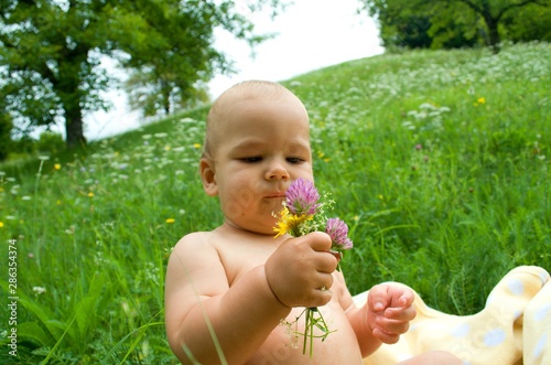 a child holds flowers, a healthy baby, sits on the grass, outdoor play
