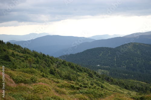 View while climbing Mount Hoverla. View of the mountain  forests and clouds. Ukrainian Carpathians.