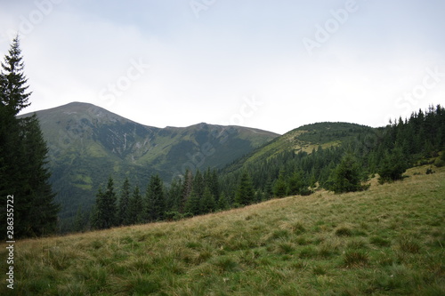 View while climbing Mount Hoverla. View of the mountain, forests and clouds. Ukrainian Carpathians.