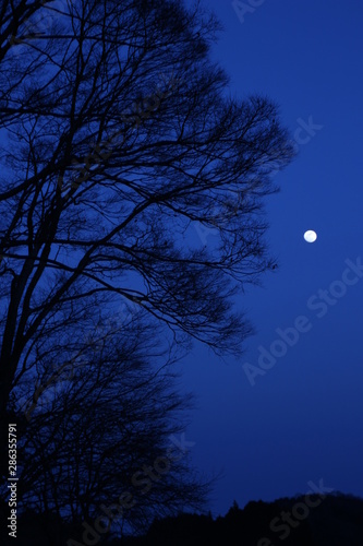 月のある景色 © blue moon dragon  