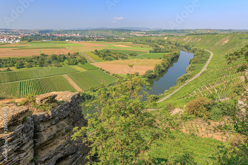 Blick über die Felsengärten Hessigheim auf Besigheim und den Neckar