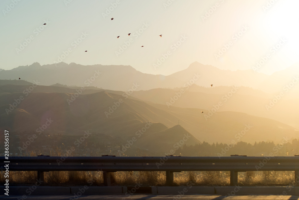 Birds and Hills at Sunset