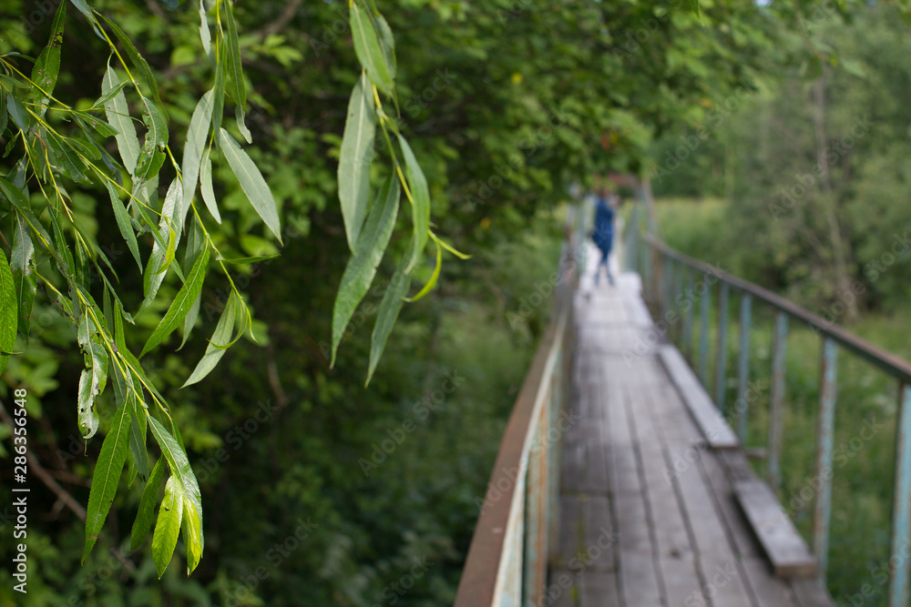 old suspension bridge over a small river in the forest in summer, bridge elements old suspension bridge over a small river in the forest in summer, bridge elements