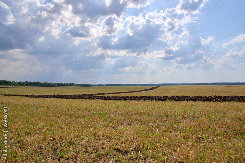 plowed land, harvested, cultivated Chernozem