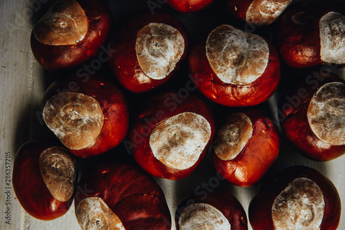 Ripe chestnuts on old wooden table and sack napkin close up with copy space. Raw Chestnuts for Christmas