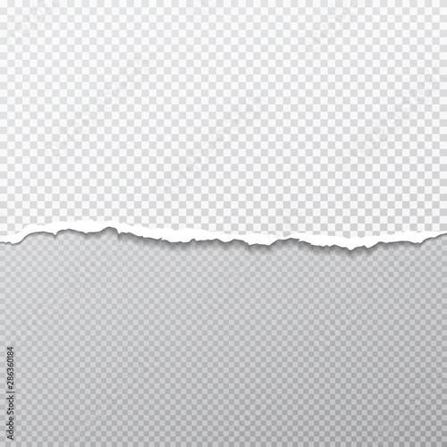 Torn, ripped white paper strips with soft shadow are on squared background. Vector template illustration