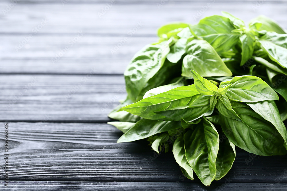Fototapeta premium Green basil leafs on black wooden table